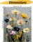 Paint by Numbers Kit for Adults Beginner, Wild Flowers Adult Paint by Number Kits on Canvas, DIY Acrylic Oil Easy Painting by Numbers for Home Wall Decor 16X20 inch (Without Frame)